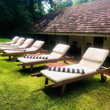 Ekho Sigiriya Exterior foto