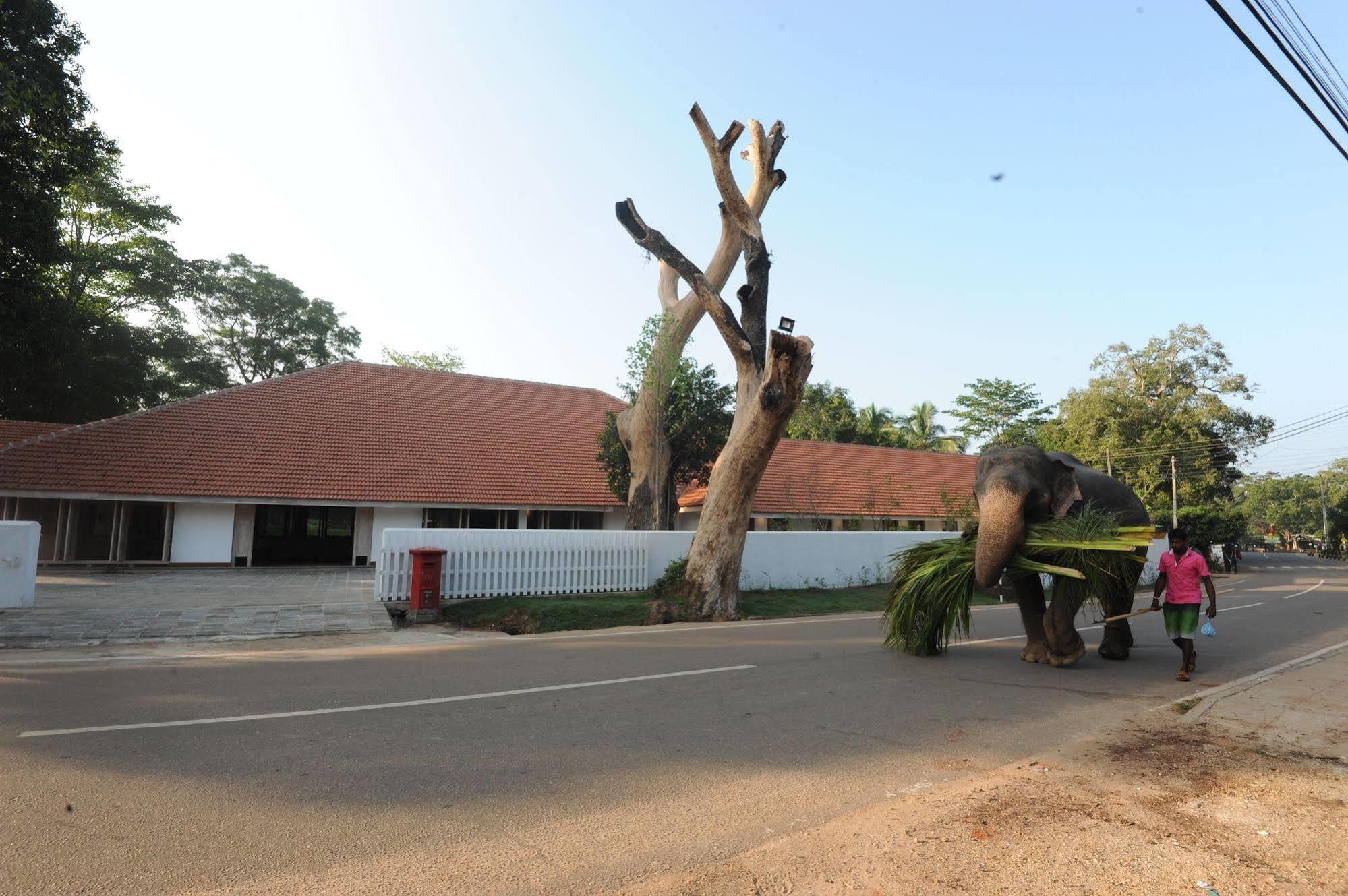 Ekho Sigiriya Exterior foto